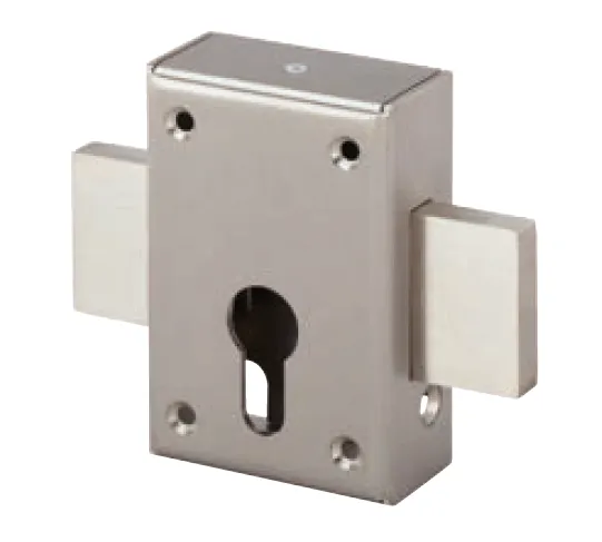 devismes-verrou-inox-cylindre-europ-en-110mm-bross-porte image 1