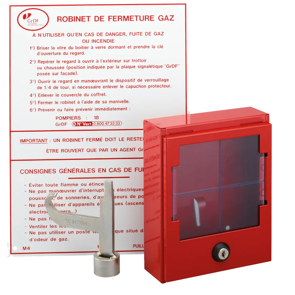 devismes-ensemble-rep-rage-bo-te-cl-st-11-031-plaque image 1