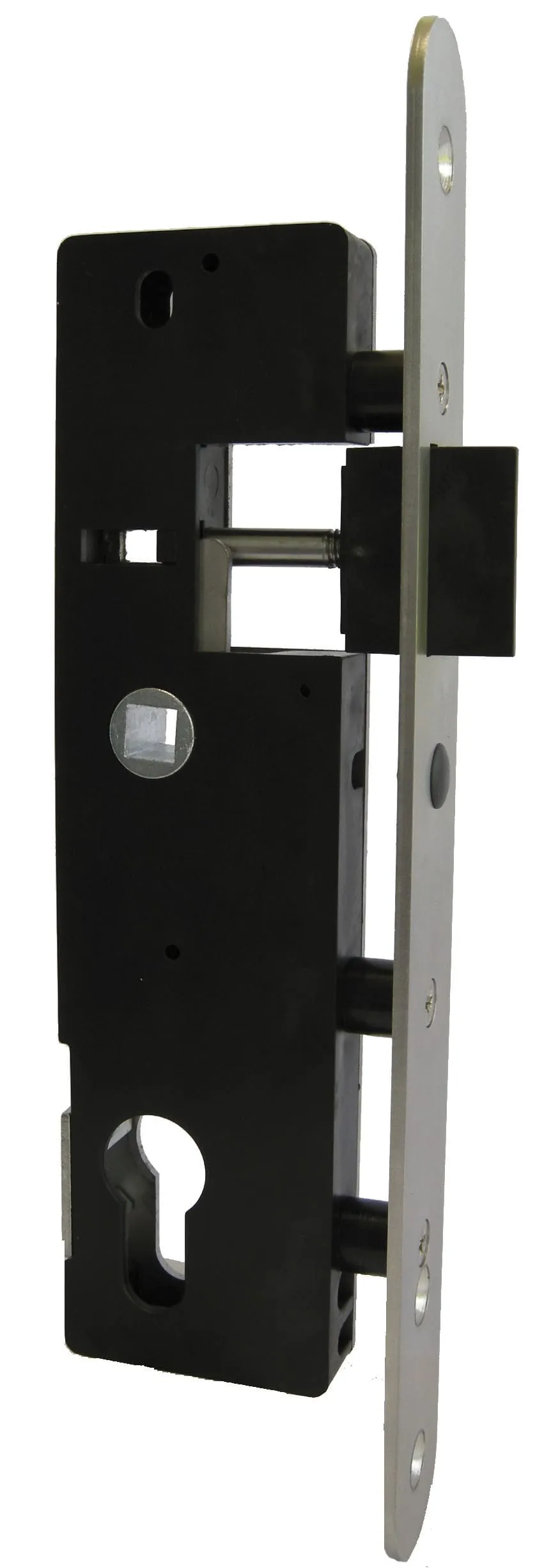 devismes-b-timent-serrure-larder-de-portail-inox-polyamide image 1