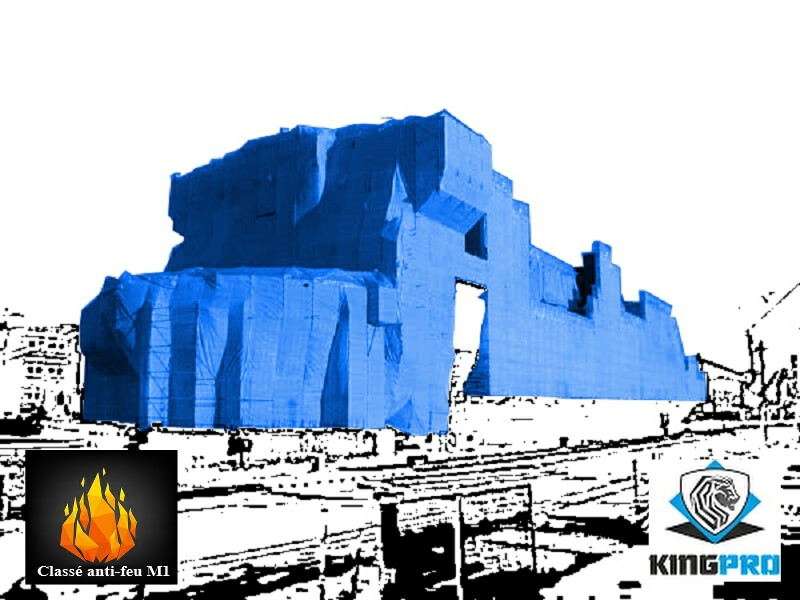 kingpro-b-ches-b-che-arm-e-transparente-170g-m-m1-2-7x20m image 4