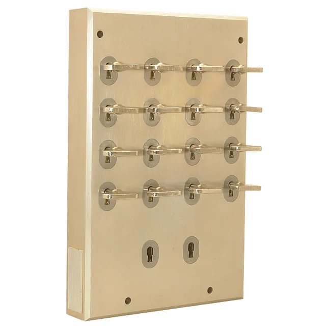 devismes-bo-te-16-cl-s-armoire-lectrique-acier image 1