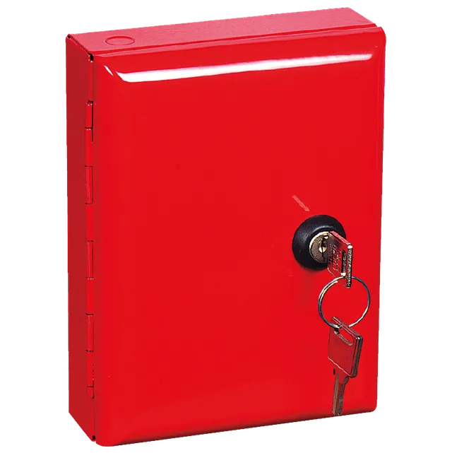 devismes-bo-te-cl-porte-pleine-acier-rouge image 1