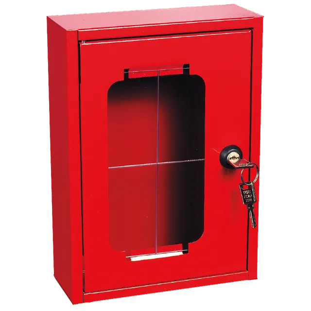 devismes-incendie-bo-te-vanne-police-acier-ral-3000-250x180 image 1