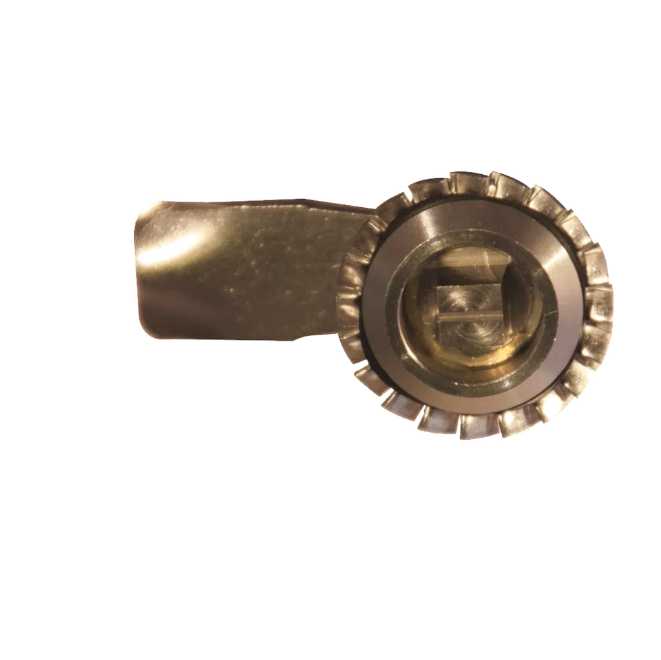 devismes-verrou-empreinte-carr-e-inox-verrou-ferroviaire image 1