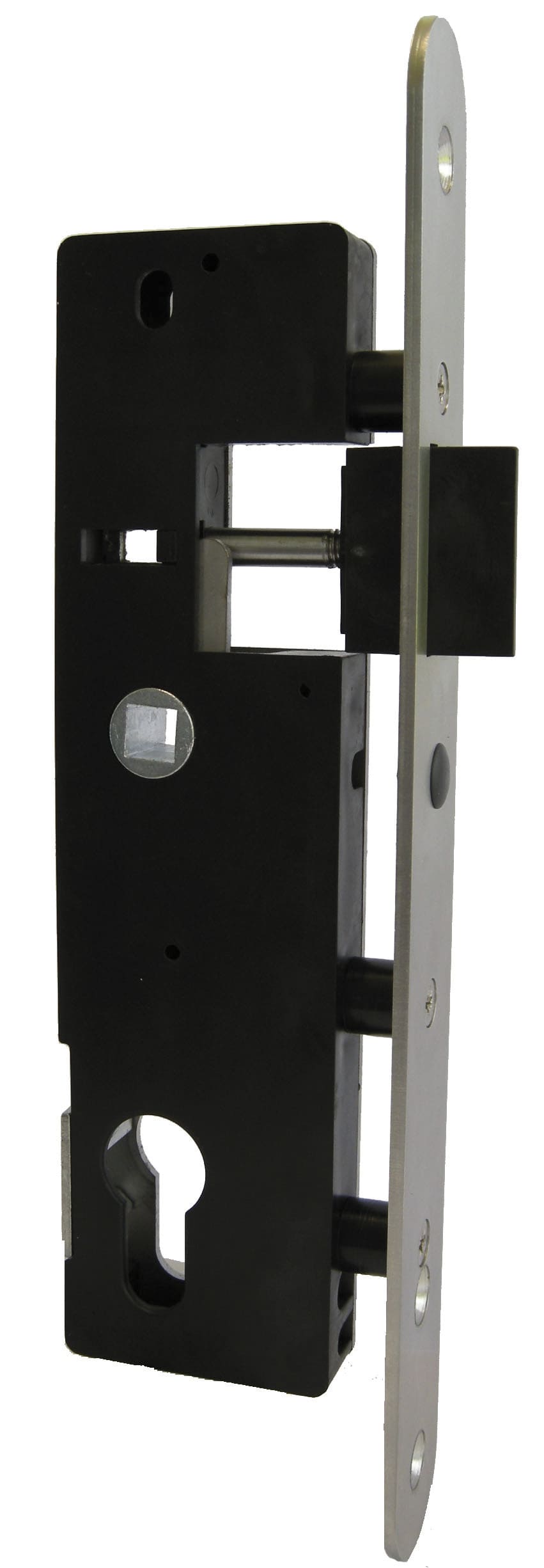 devismes-b-timent-serrure-larder-de-portail-inox-polyamide image 1
