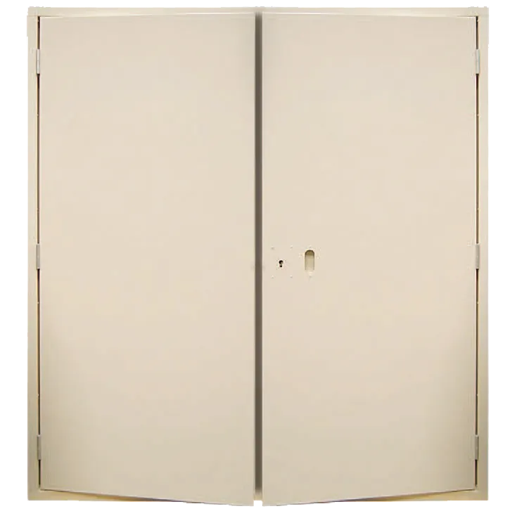 devismes-porte-de-poste-2-vantaux-alu-sans-ventilation-ral-1015 image 1